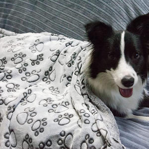 Manta gris suave para mascotas de los más vendidos de alta calidad con diseño de estampado de pata esponjosa y cálida para gatos, perros, cama y sofá - Product Image 4