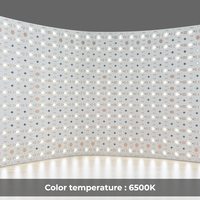 Lembaran Lampu LED CCT yang Dapat Diredupkan 2700K 6000K Panel LED Dua Warna CRI Tinggi 90 IP20 untuk Lampu Latar Dapur