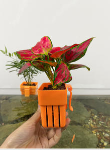 Panier de jardinière hydroponique mural <span class=keywords><strong>orange</strong></span>/noir pour aquariums - Product Image 3