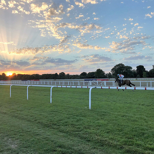 Clôture de cheval d'arène professionnelle avec rails de sécurité Breakaway idéal pour la clôture de course de chevaux d'entraînement de sprint <span class=keywords><strong>pur</strong></span>-<span class=keywords><strong>sang</strong></span> - Product Image 4