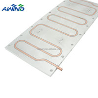 Plus grand 360mm rouleau collé refroidisseur d'azote liquide plaques froides profil en aluminium époxy Aio dissipateur de chaleur pour le refroidissement de la batterie au lithium Llithium