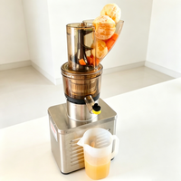 Commerciële sapcentrifuge, fruit- en groentesap-residu-scheider, fruit- en groentesap-scheidingsmachine