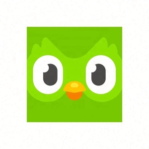 Cuenta Premium Duolingo Pro 1 Año, Activa Tu Propia Cuenta, Aplicable Globalmente en Todo el Mundo - Product Image 3