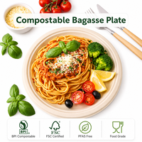 Assiettes rondes classiques jetables Warmpack en bagasse compostable, écologiques, de 9 pouces, compatibles micro-ondes et sans BPA