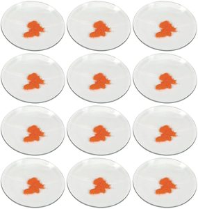 Pulido con tapas <span class=keywords><strong>de</strong></span> cubierta <span class=keywords><strong>de</strong></span> bordes molidos para <span class=keywords><strong>vasos</strong></span> y frascos Plato <span class=keywords><strong>de</strong></span> evaporación <span class=keywords><strong>Vasos</strong></span> <span class=keywords><strong>de</strong></span> reloj <span class=keywords><strong>de</strong></span> <span class=keywords><strong>laboratorio</strong></span> - Product Image 3