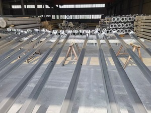 Professional Manufacturer 10m Octagonal Street <strong>Lighting</strong> <strong>Poles</strong> - Product Image 2