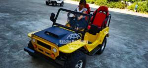 Jeep Eléctrico Mini, Homologado para Circular por la Calle, Precio de Fábrica al por Mayor, Apariencia Personalizable, Precio Bajo - Product Image 6