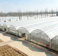 Grande serre agricole à simple travée en acier galvanisé, système de culture hydroponique NFT complet, conteneur de culture vertical