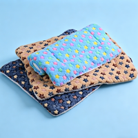 Tapis pour animaux de compagnie en peluche épaisse, pliable, antimicrobien, écologique, durable, avec motif alphabet, pour chiens et chats, utilisable en toutes saisons