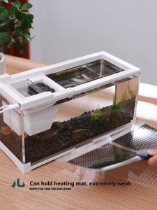 Tanque de plástico rectangular ecológico <span class=keywords><strong>para</strong></span> el hogar pequeño, Guppy, filtro arrastrado, caja de acuario de escritorio, linterna, peces, camarones, accesorios - Product Image 5