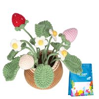 Anfänger Häkel-Blumentopf-Set DIY Topfpflanzen-Häkelset mit Garn und Häkelhaken