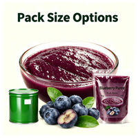 Lotlong Premium Natuurlijke Levendige Paarse Op Maat Gemaakte Productie Fabriek Zoete & Pittige Blauwe Bessenpuree voor Fruitthee Smoothie Bereiding