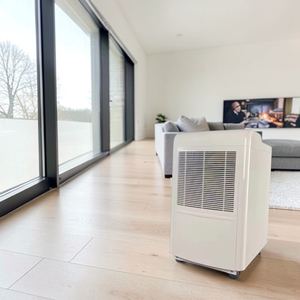 Déshumidificateur à compresseur DL pour chambre à coucher, fonction minuterie, arrêt automatique au niveau du réservoir plein, pré-filtre PP - Product Image 1