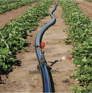 16 Mét không có lỗ PE ống nhựa với <span class=keywords><strong>LDPE</strong></span> cho trang trại nông nghiệp & thủy lợi Chất lượng cao ống nhựa - Product Image 6