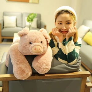 Divers styles de jouets en peluche, y compris de mignons petits ours, des dinosaures et des oreillers en peluche en forme de cochon, sont des décorations pour la maison et des cadeaux de fêtes. - Product Image 1