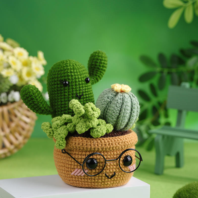 Combinación de plantas en macetas de plantas verdes