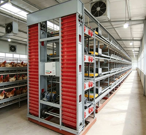 Nouvel équipement d'élevage avicole pour la production d'œufs : Cage anti-déformation pour poules pondeuses, adapté à l'inspection en usine et à la création <span class=keywords><strong>de</strong></span> nouvelles entreprises avicoles - Product Image 1