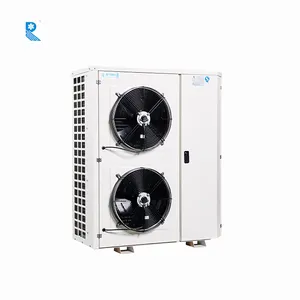 Ruixue peças de refrigeração, r22 r404 r410a pequeno pequeno, suporte de parede, ar resfriado, caixa de armazenamento frio, tipo caixa de condensamento da unidade de refrigeração