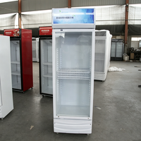 Réfrigérateur à boissons à température unique, refroidisseur de boissons à porte coulissante, équipement de refroidissement instantané des boissons pour usage commercial