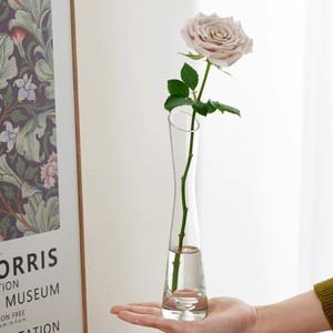 Hydroponic Mini Flower Hotel Decoration Single Ins Wind Bottle Glass Transparent Inserter Nordic Small - Product Image 3