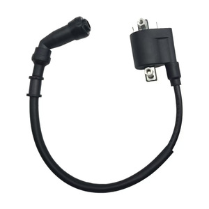 Bobina de Encendido Jilong de 2 Cilindros para Motocicleta Little Tyrannosaurus BJ125-3B3F, Pieza 2105047-5000004 - Product Image 3