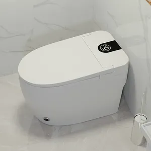 Fabrik direkt funktionelle intelligente Badezimmer Keramik einteilig Siphon Toilette Kommode Bidet automatische Reinigung Wasserspray