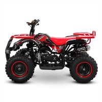 Quad mini tout-terrain Tao Motor CE 2 temps 50cc à transmission par chaîne automatique à essence pour enfants