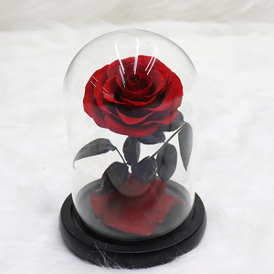 Ángeles rosas preservadas en cúpula de cristal regalo de San Valentín Flor de diente de león preservada - Product Image 4