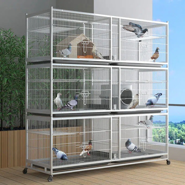 Professional Classic Large Pigeon Breeding Cage Foldable Stackable Galvanized Square Tube with Wheels and Plastic Tray