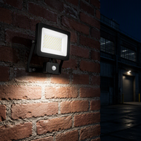 Projecteur LED en aluminium à détecteur de mouvement infrarouge PIR 50W, éclairage extérieur IP65, 6000LM, angle de faisceau 120°, OUTLUX E048EIS EMC LVD CE