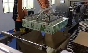 Industrial Robotic Case Packer