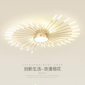 Plafonnier LED de luxe nordique, design créatif de feux d'artifice, surface en acrylique, montage mural, style moderne simple et élégant pour le salon - Product Image 3