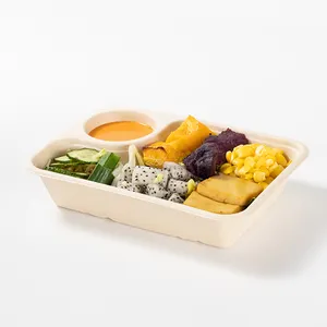 Caja de comida de bagazo a precio competitivo, caja de comida de pulpa degradable para GO microondas