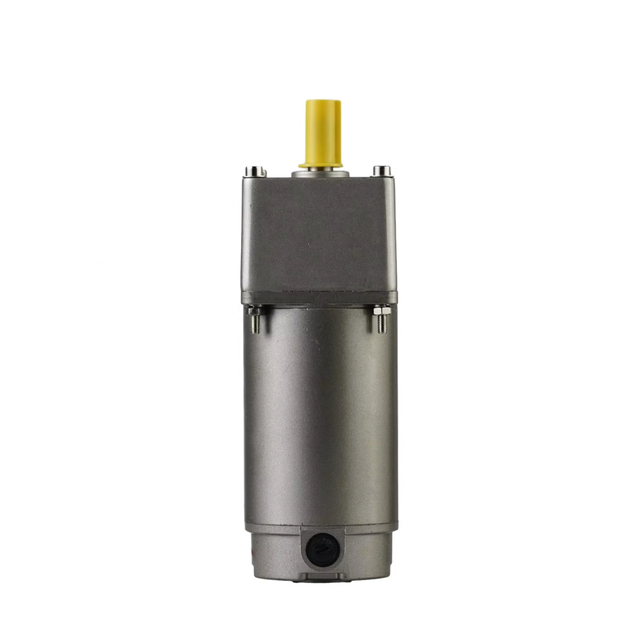 China Factory Direct Sales 15W-200W Micro DC Brush Gear Motor with Permanent Magnet Construction