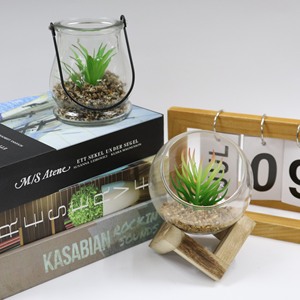 Plantas <span class=keywords><strong>suculentas</strong></span> vivas Sala <span class=keywords><strong>de</strong></span> estar Planta Macetas <span class=keywords><strong>suculentas</strong></span> <span class=keywords><strong>Venta</strong></span> <span class=keywords><strong>al</strong></span> <span class=keywords><strong>por</strong></span> <span class=keywords><strong>mayor</strong></span> <span class=keywords><strong>Venta</strong></span> caliente Mini Macetas para plantas <span class=keywords><strong>suculentas</strong></span> - Product Image 1