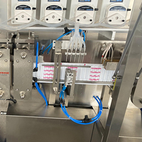 Dubbele Servo Snijmachine voor Plastic Flessenverpakkingen voor Sirop, Dranken & Fruitconcentraat