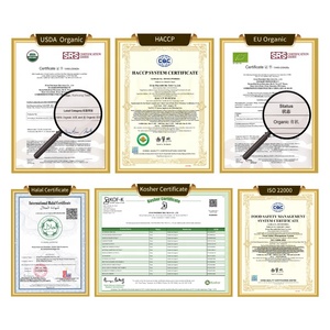 Novenzyme Hữu Cơ Chứng nhận <span class=keywords><strong>Ganoderma</strong></span> <span class=keywords><strong>lucidum</strong></span> chiết xuất 30% polysaccharides - Product Image 6