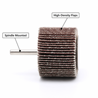Disque abrasif en alumine REX monté sur broche pour le meulage de surface sur acier inoxydable et bois - Prise en charge OEM