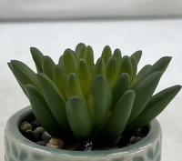 Mini-plantes succulentes artificielles en pot avec pot rond en céramique, décoration de maison écologique verte pour Pâques et mariages, vente en gros