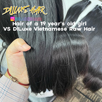 DiLuxe Hair Vendor Wholesale Raw Single Donor Vietnamese Remy Hair Top Grade Premium Virgin Hair Chemical Processing None