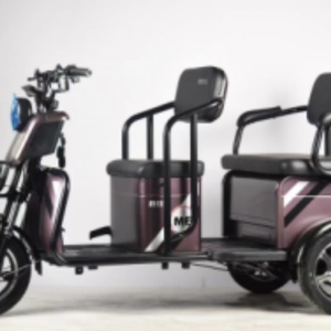 Tricycle électrique pour personnes âgées de haute qualité à 3 roues, type carrossé fermé, scooter moto avec compartiment de chargement, tension 48V, certifié CEE - Product Image 4