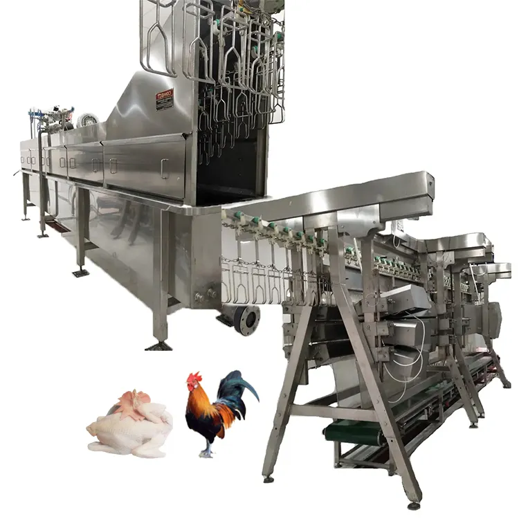 Máquina automática para desplumar aves de corral, pato, Ganso, carnicero, equipo de matadero, escaldador y desplumador de pollo, matadero de pollos de engorde