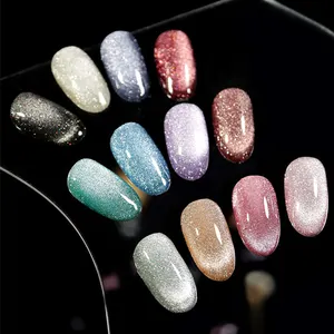 New Disco OEM Nail Art 12 Farben Laser Tiny Reflektieren der Glitzer UV Eye Gel Nagellack