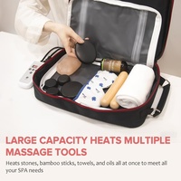 Chauffe-pierres de massage portable double face 220V 110V 12V avec chargeur de voiture pour équipement de spa et salon, outil professionnel
