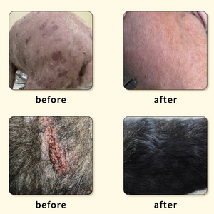 Shampooing et après-shampoing <span class=keywords><strong>de</strong></span> toilettage biologique pour chiens et chats 500ml en <span class=keywords><strong>plastique</strong></span> stocké-nettoyage en profondeur soulage les démangeaisons <span class=keywords><strong>de</strong></span> la peau et désodorisation - Product Image 6