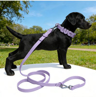 Breloques en silicone lumineuses ajustables avec 26 lettres et strass pour colliers de chien et de chat - Fermeture à double anneau en D - Personnalisation DIY du nom de votre animal