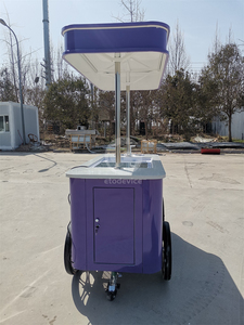 Chariot de vente ambulante pour glaces, équipement de présentation, armoire réfrigérée, congélateur, chariot à gelato, chariot à glaces, chariot à pousser à la main - Product Image 3