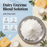 Solution enzymatique laitière en vrac avec chymosine pour la production de fromage à haut rendement et la coagulation du lait – Approvisionnement direct usine