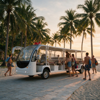 Autobús Eléctrico Turístico para 20 Pasajeros, Listo para la Flota, Batería de Litio, Largo Alcance, Vehículo de Transporte, Capacidad de Subida del 30%, Doble Sistema Hidráulico