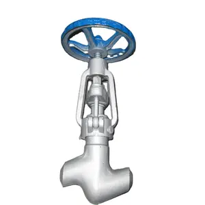 API 598 F304 Stainless Steel Body Forged Bolted Bonnet Class 2500 Socket Weld Price of Globe Valve Gate Valve Standard General